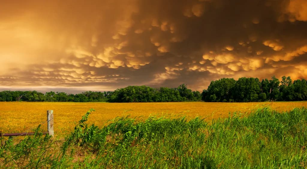 Golden Stormscape