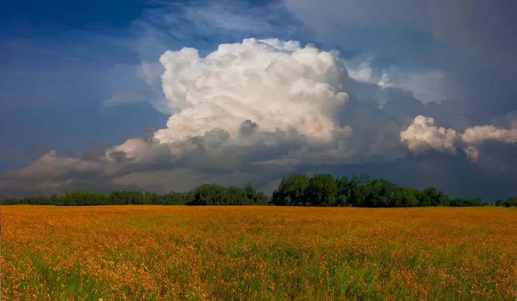 Golden Horizon Clouds