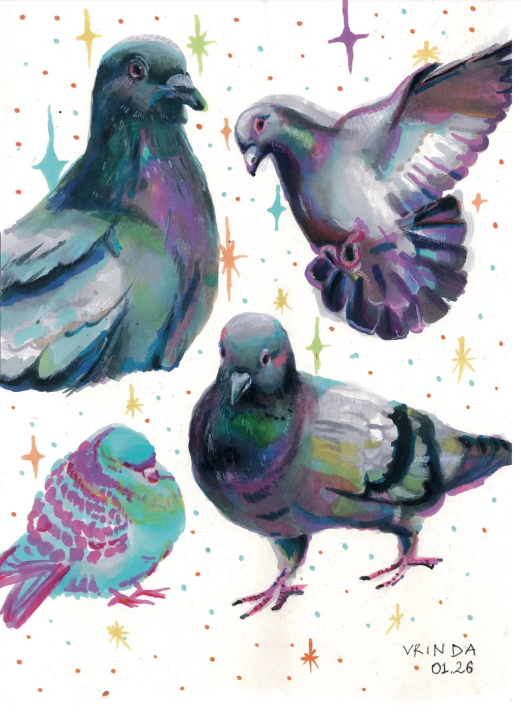 Iridescent Pigeons