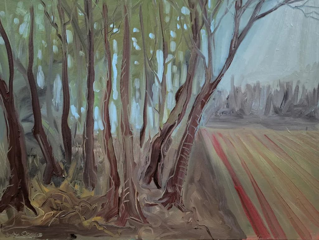 Edge of the Forest