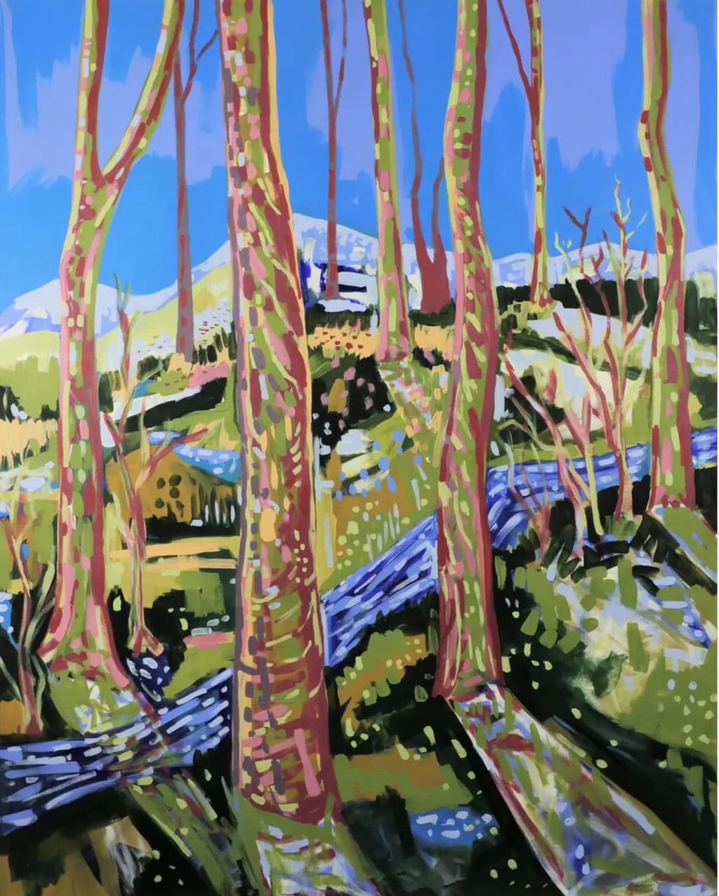 Sunlit Grove
