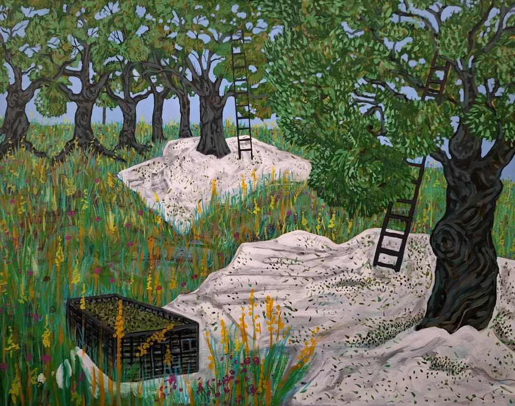 Olive Harvest