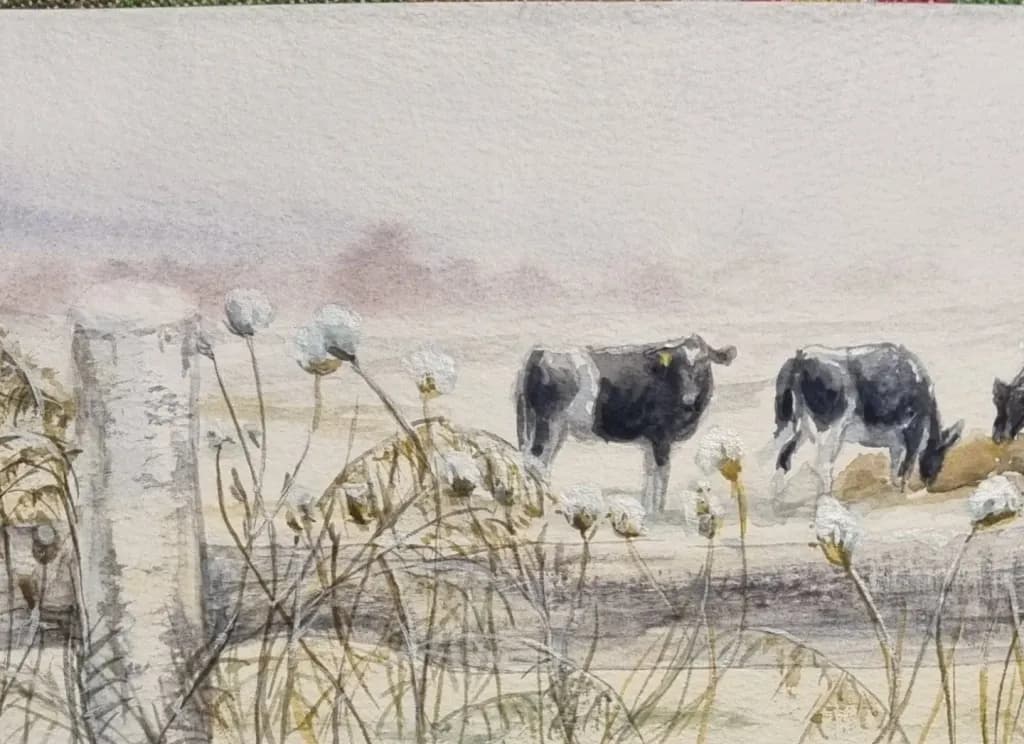Field Fence and Cows