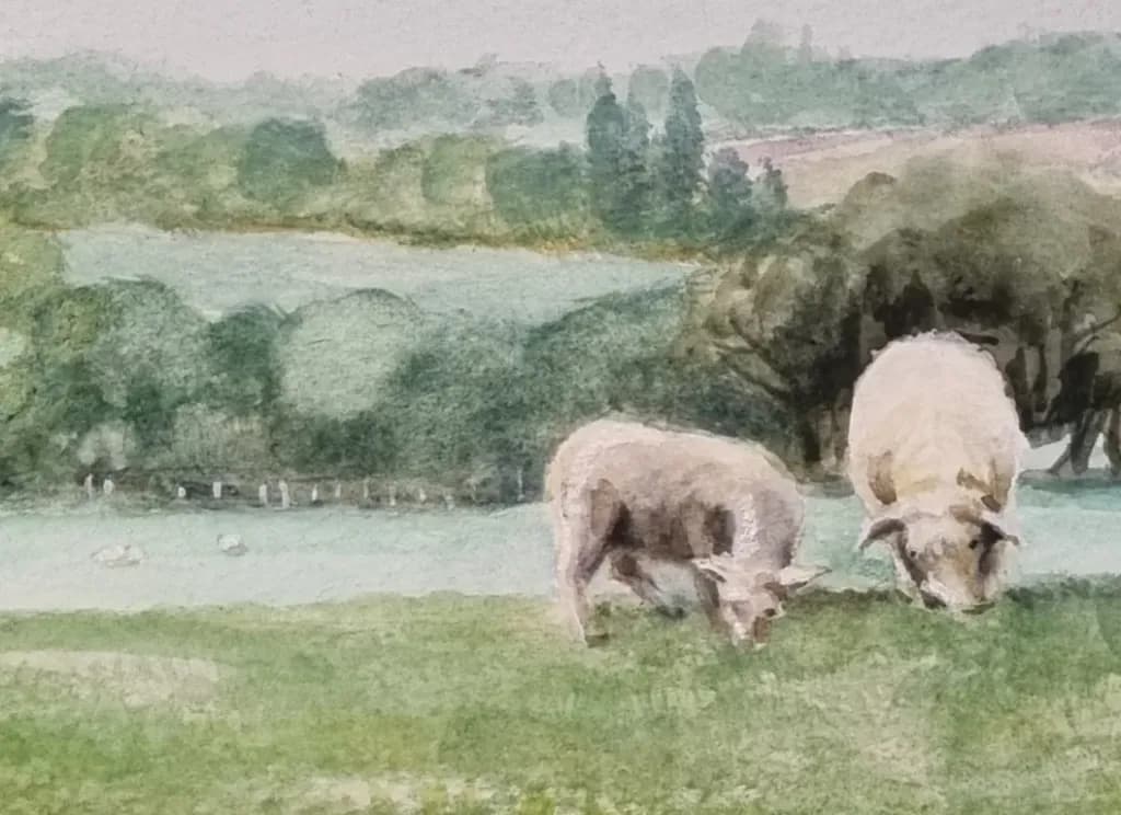 Grazing Sheep Pasture