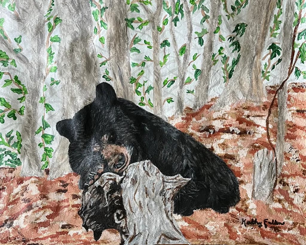 Bearly Awake