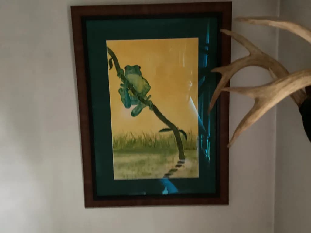 Frog on a Branch