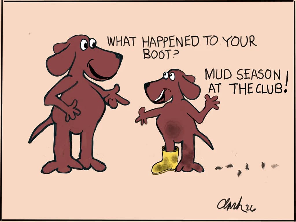 Dirty Dog