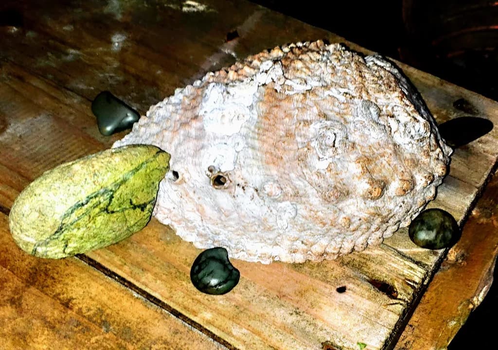 Tidal Relics