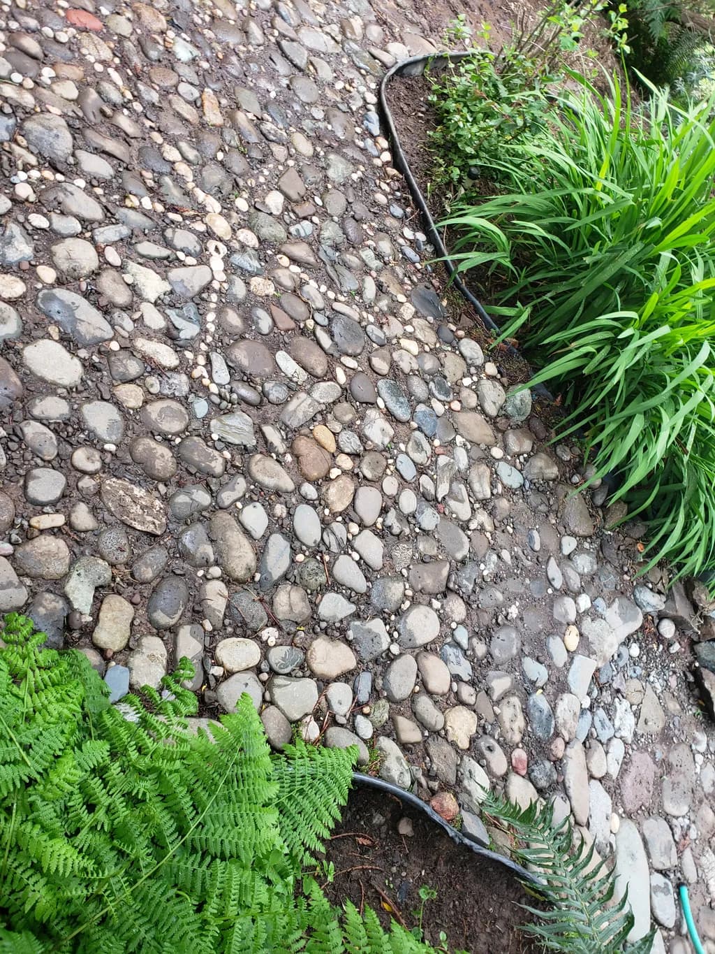 Garden Path Mosaic