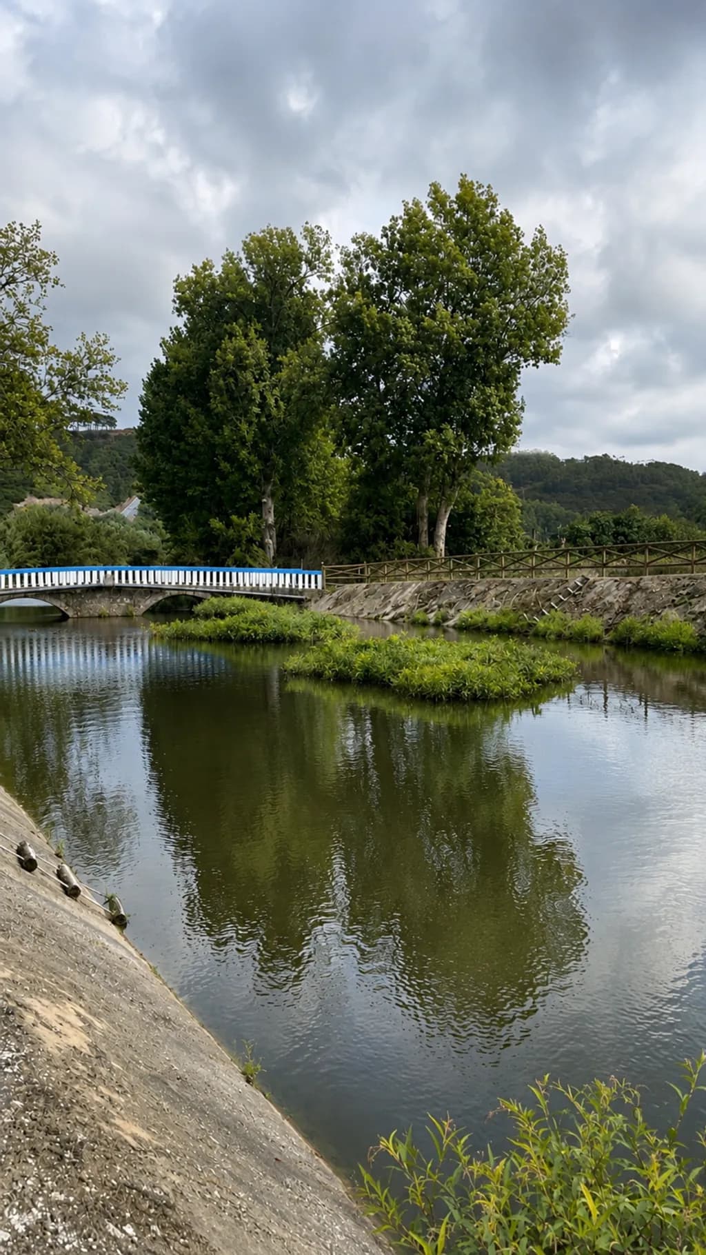 Pond Bridge Reflections