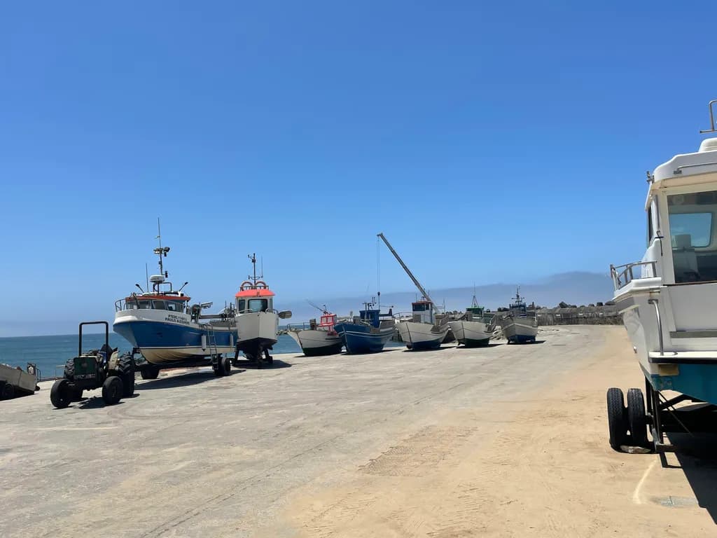 Harbor Line-Up