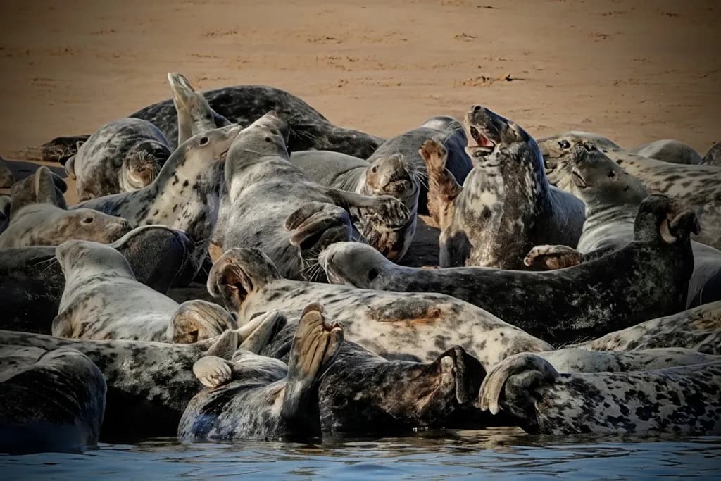 Harbor Crowded Rest