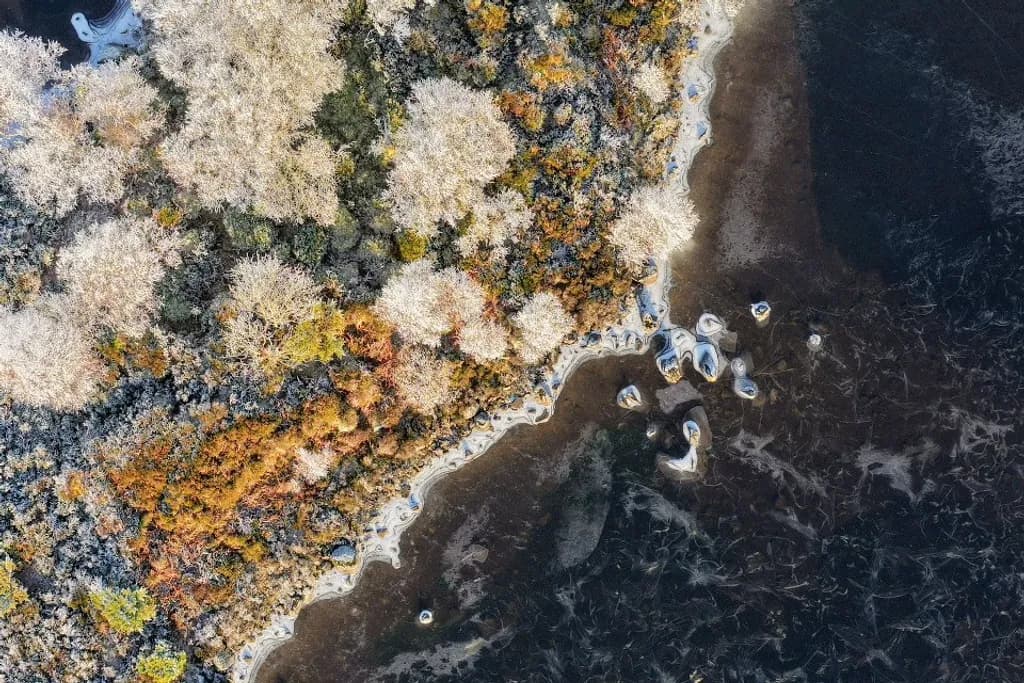 Frozen Shoreline Contrast