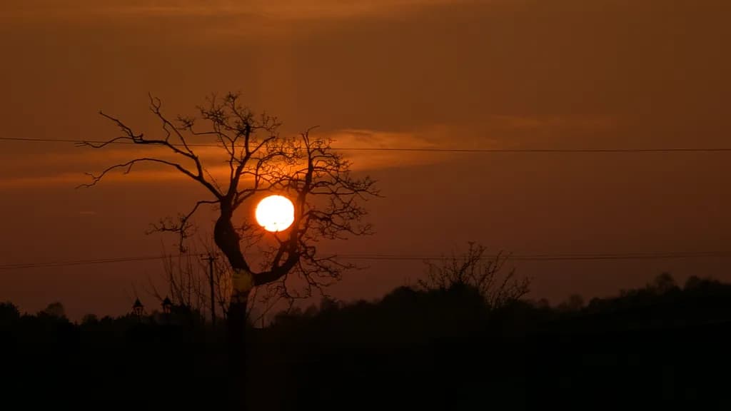 Sun Embrace
