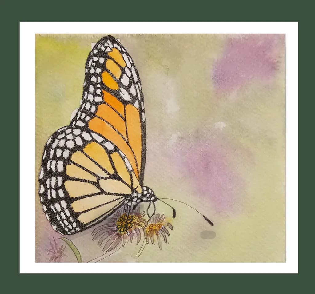 Monarch Bloom