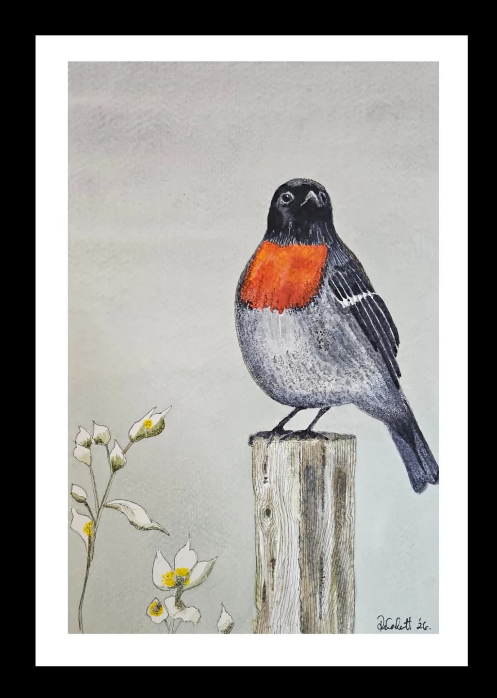 Robins' Perch