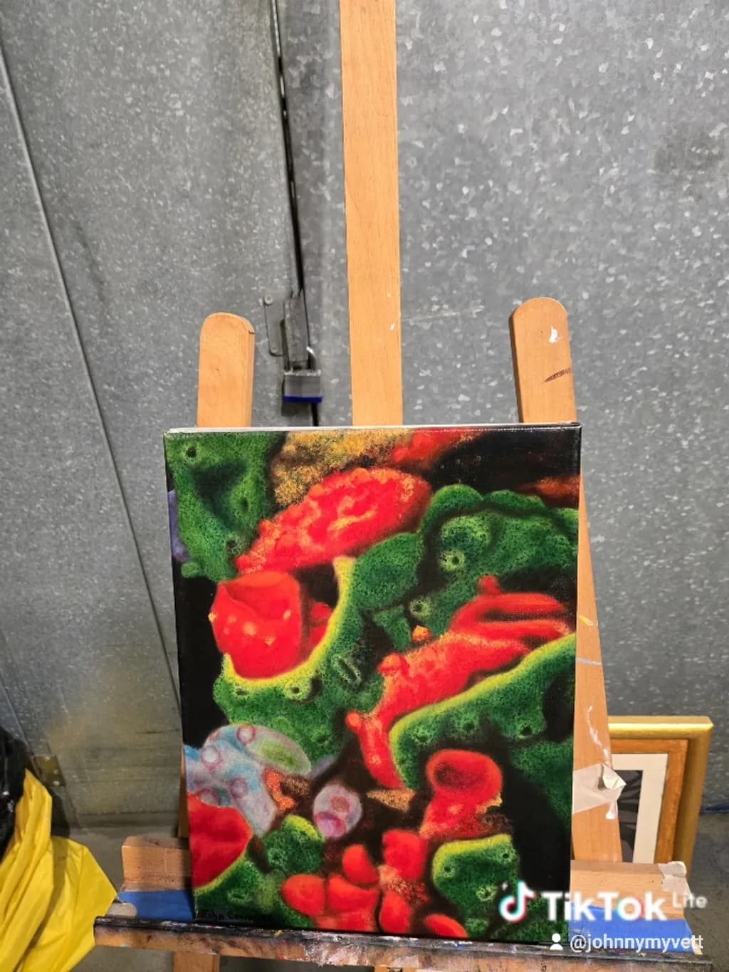 Coral Garden