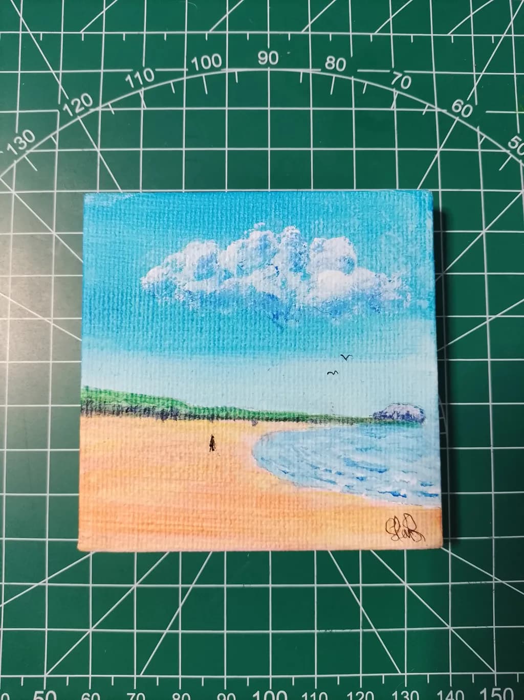 Coastal Solitude