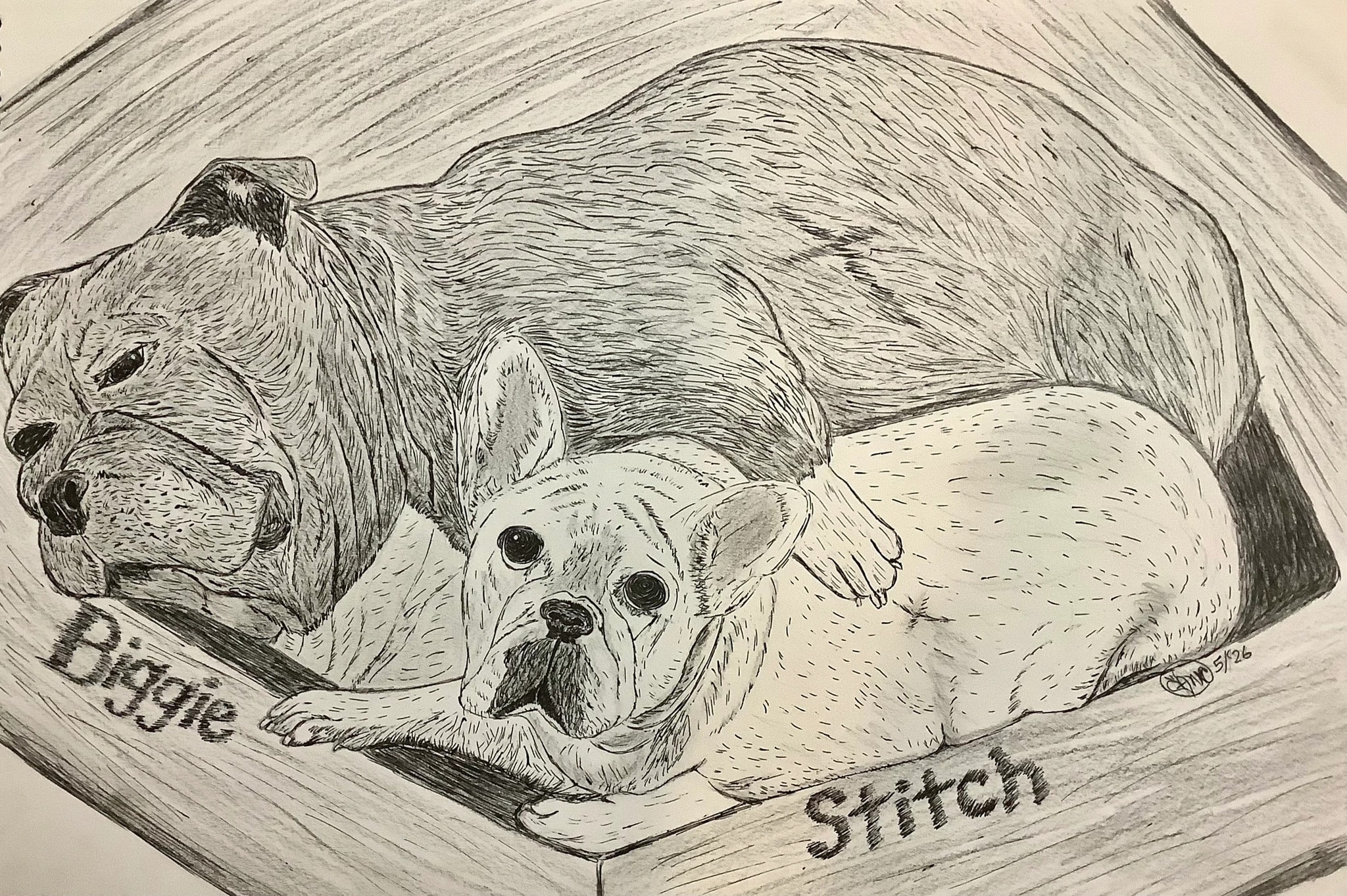 Biggie and Stitch Resting