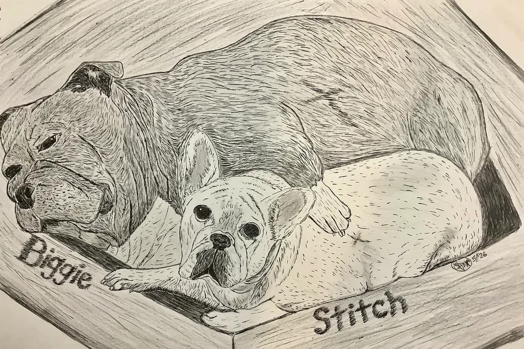 Biggie and Stitch Resting