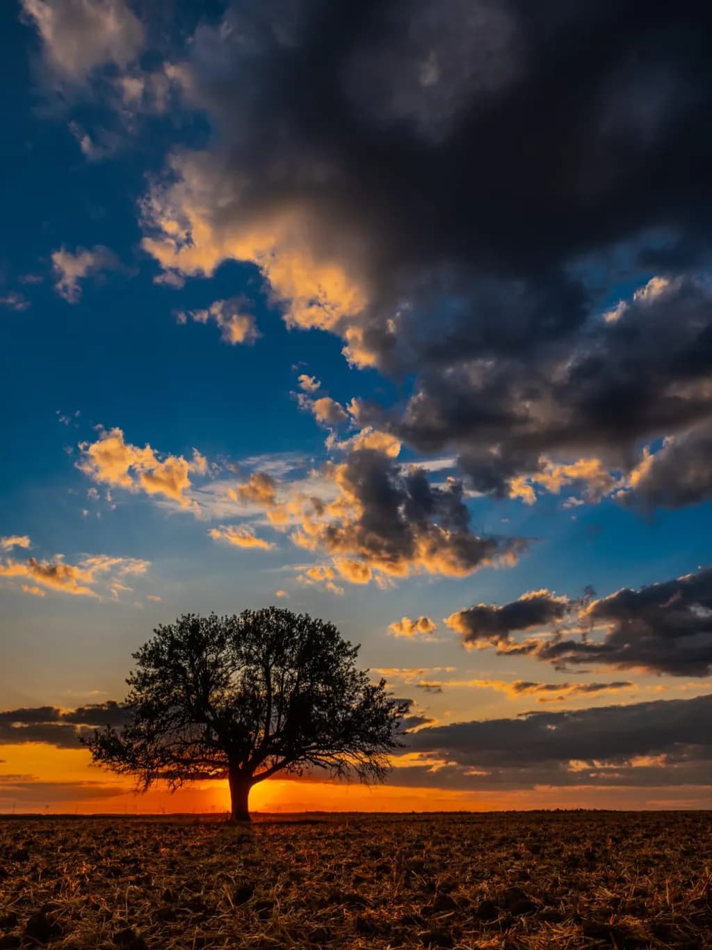 Solitude at Dusk