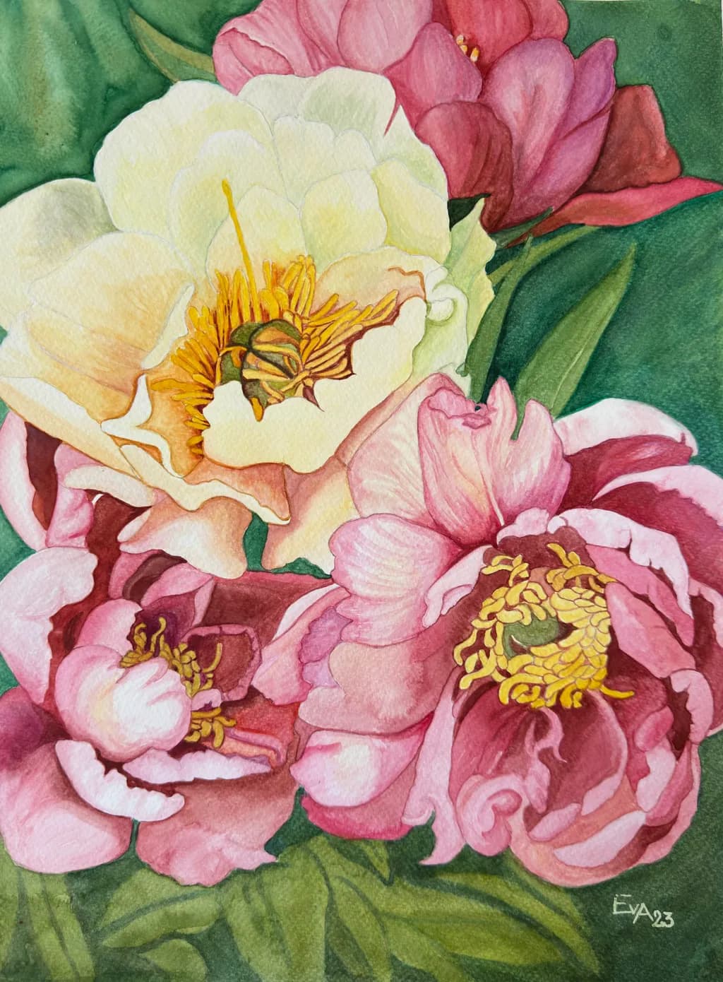 Peony Symphony