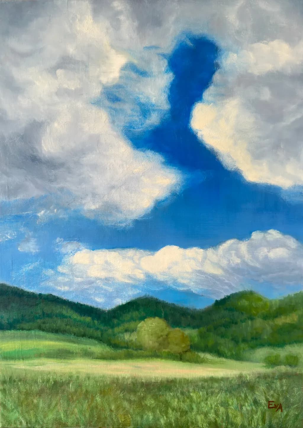 Sky Silhouette