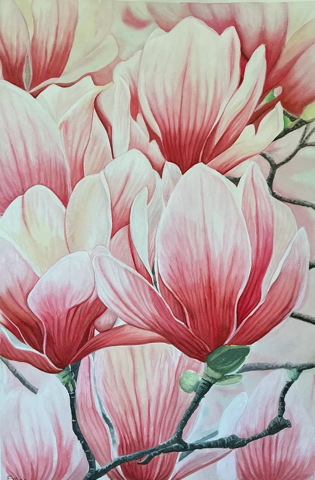 Blossom Veins
