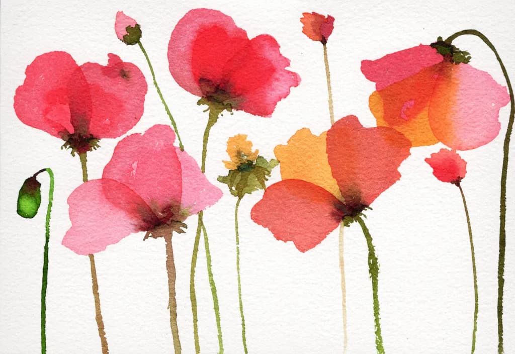 Dancing Poppies