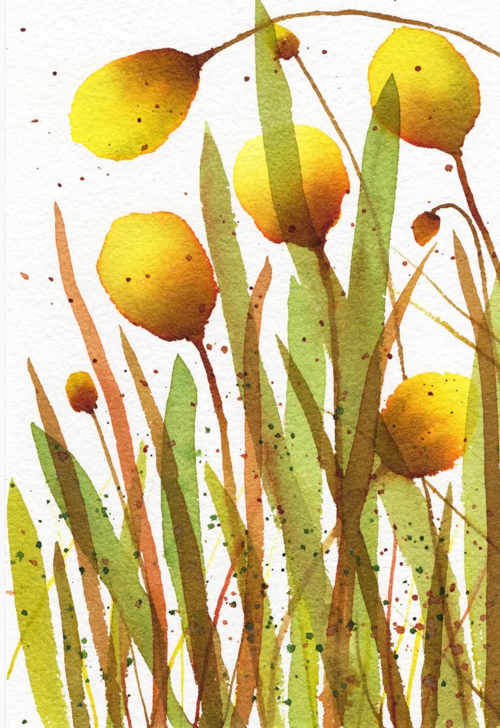 Golden Pods
