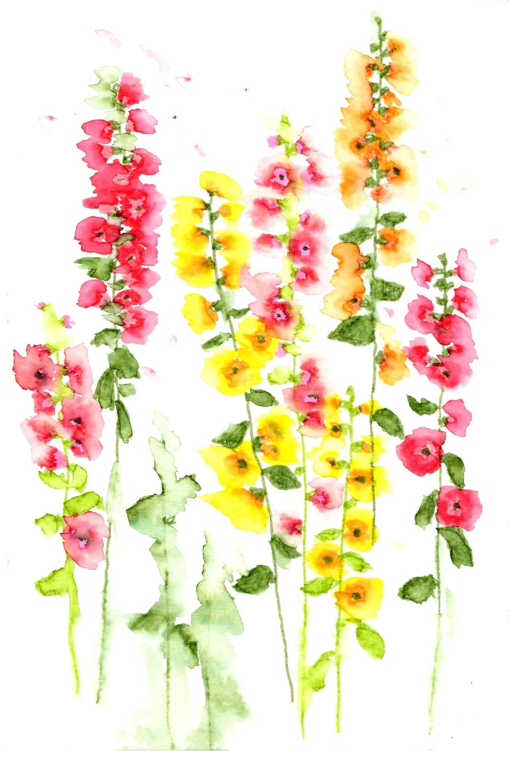 Hollyhocks