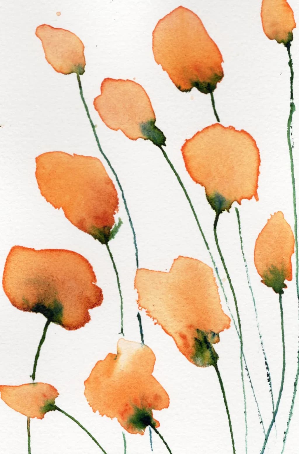 Fieldflowers