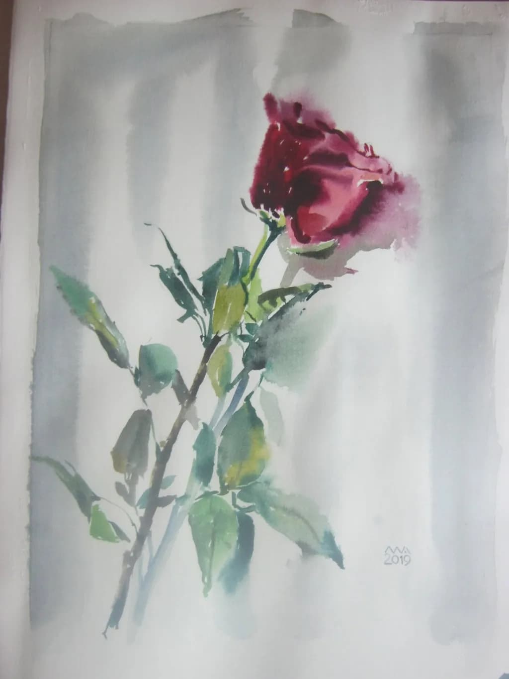 Rose in Watercolor