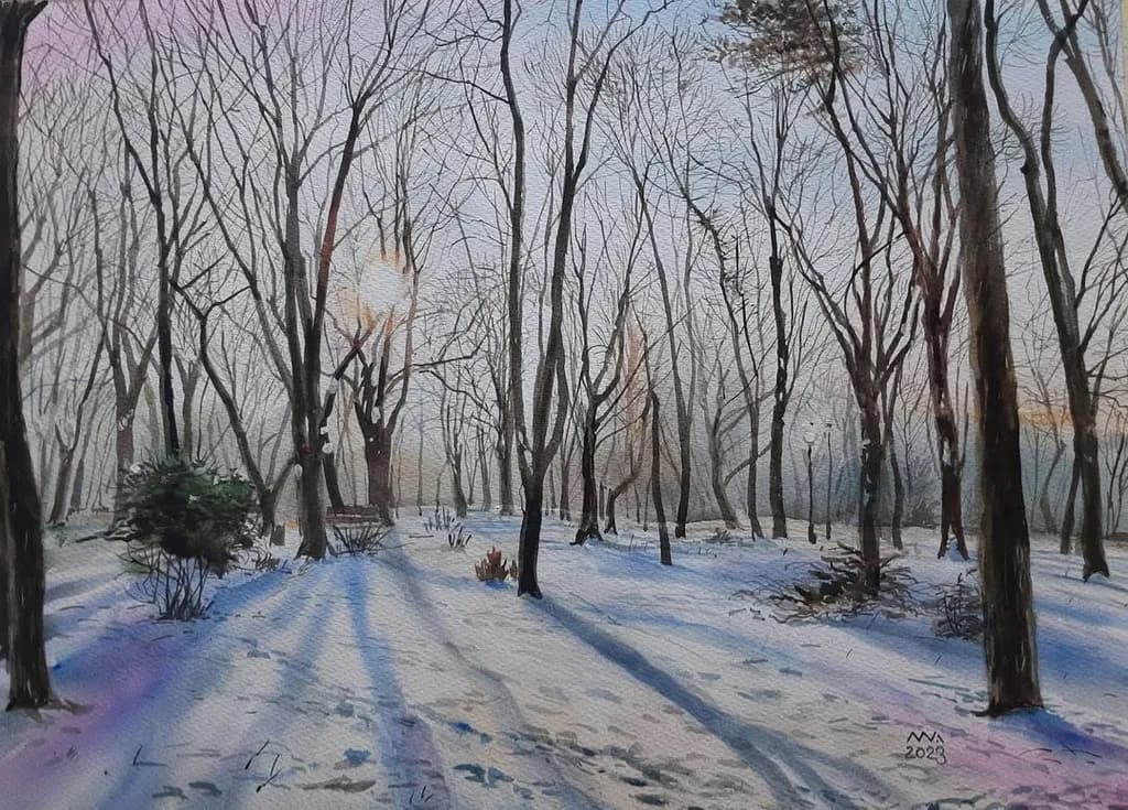 Winter Dawn Shadows