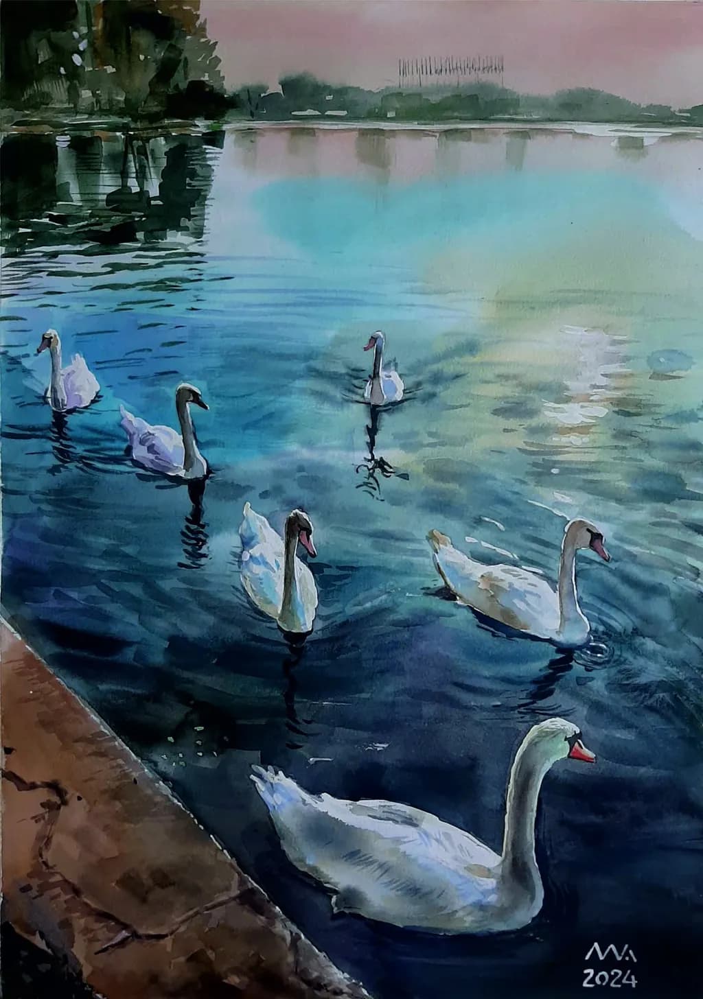 Reflections of Swans