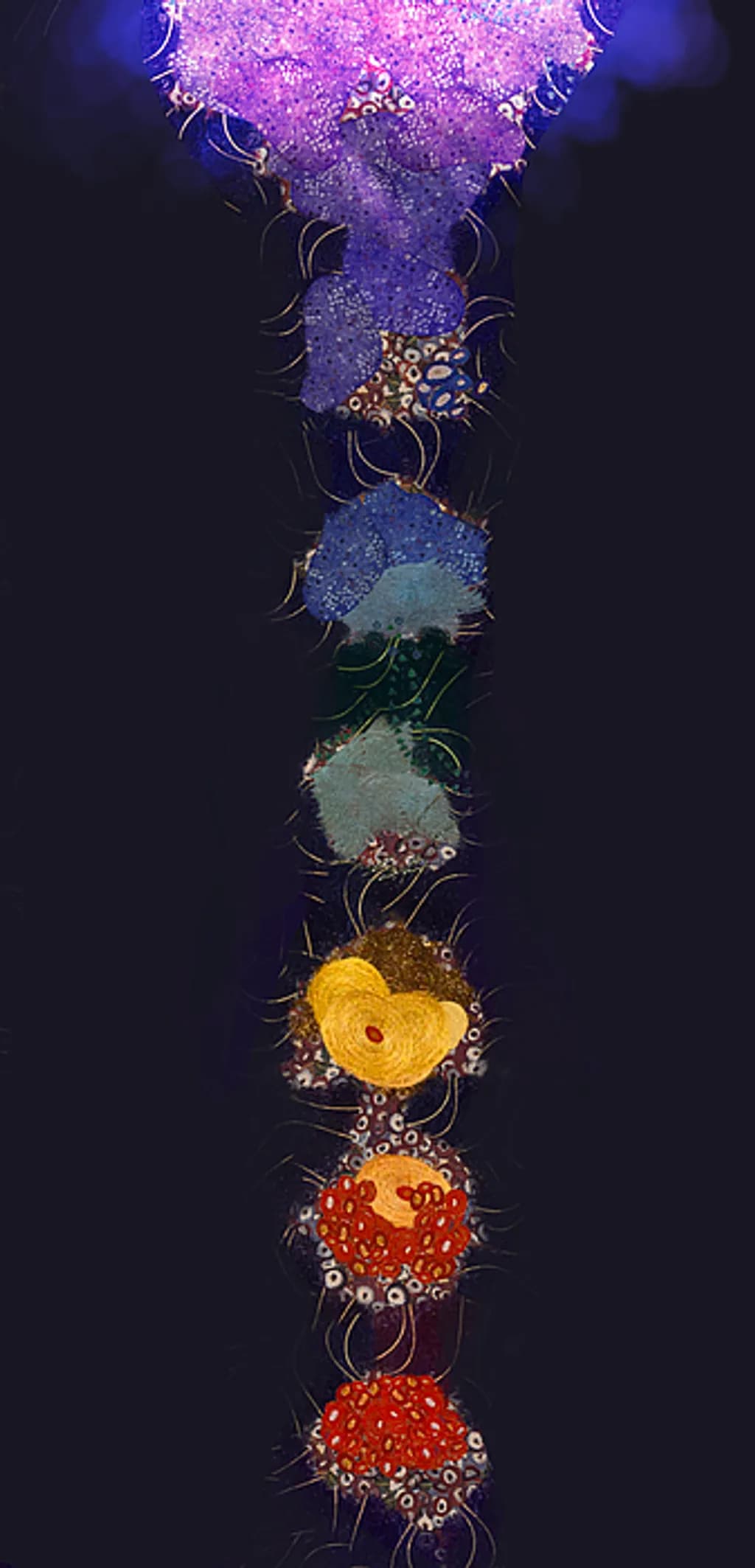 Muddy Chakras
