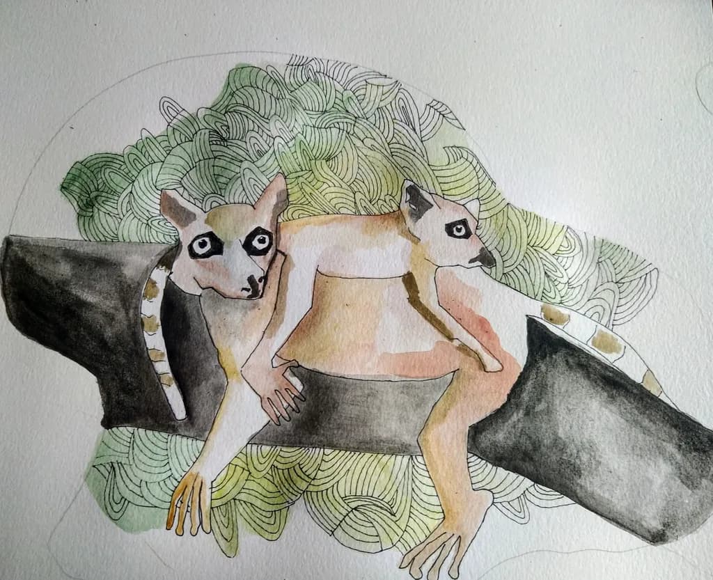 Lemur Duo