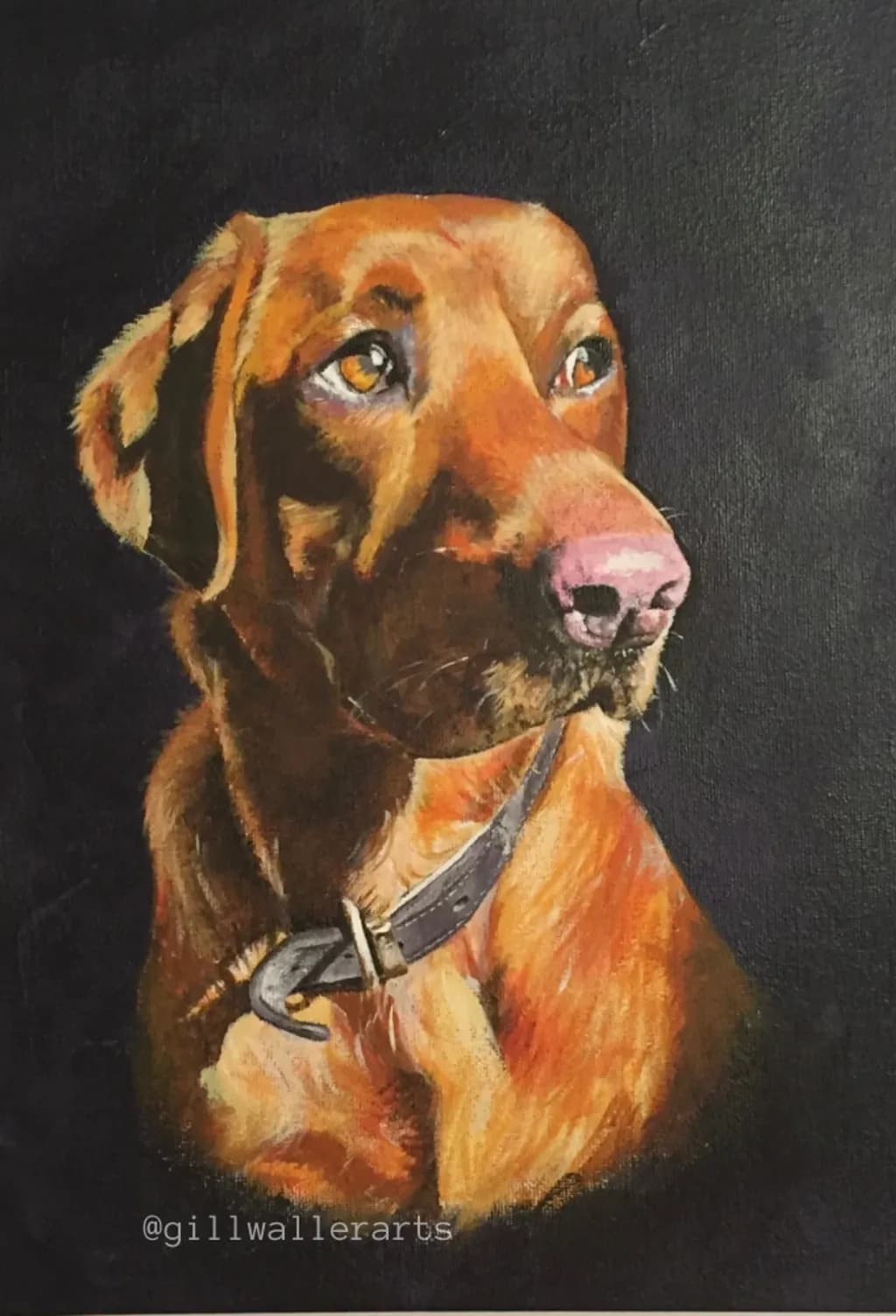 Amber Gaze