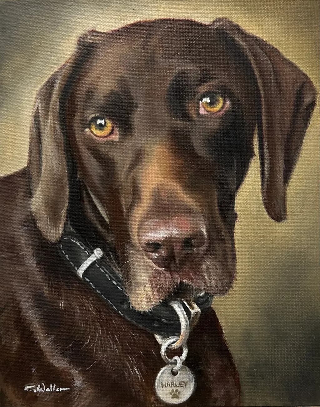 Harley (commissioned portrait)