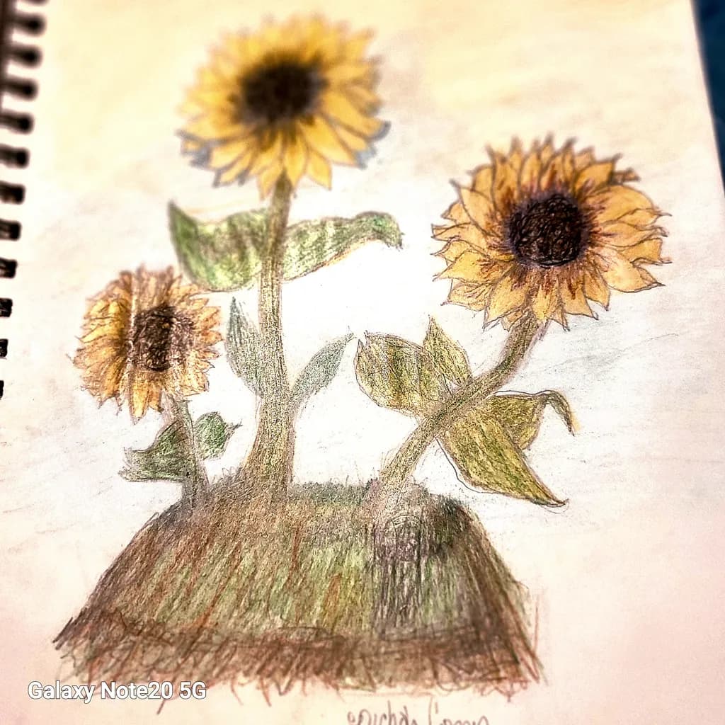 Sunflower Trio