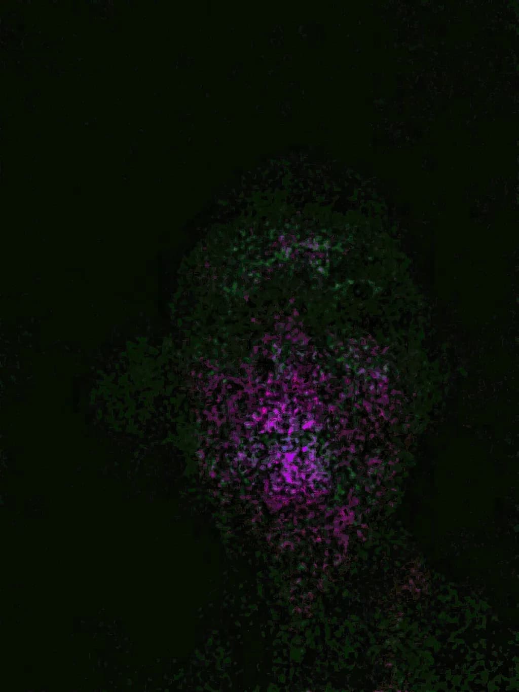 Neon Veil