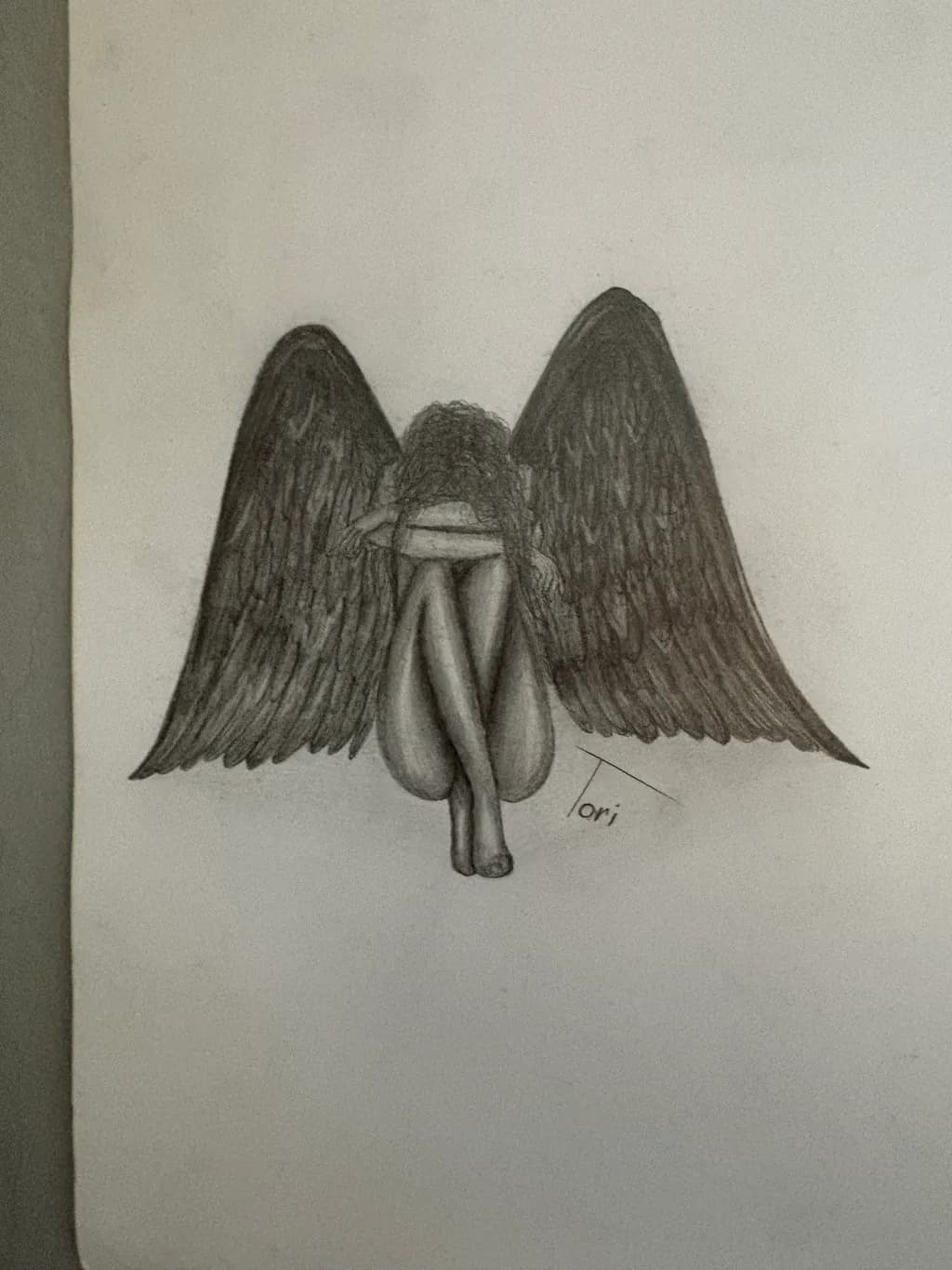 Fallen Wings