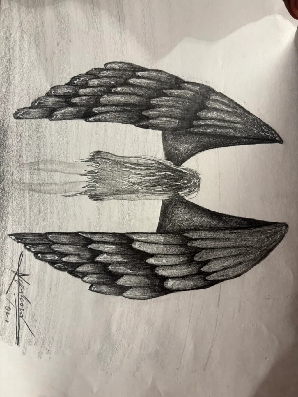 Ascending Feathers