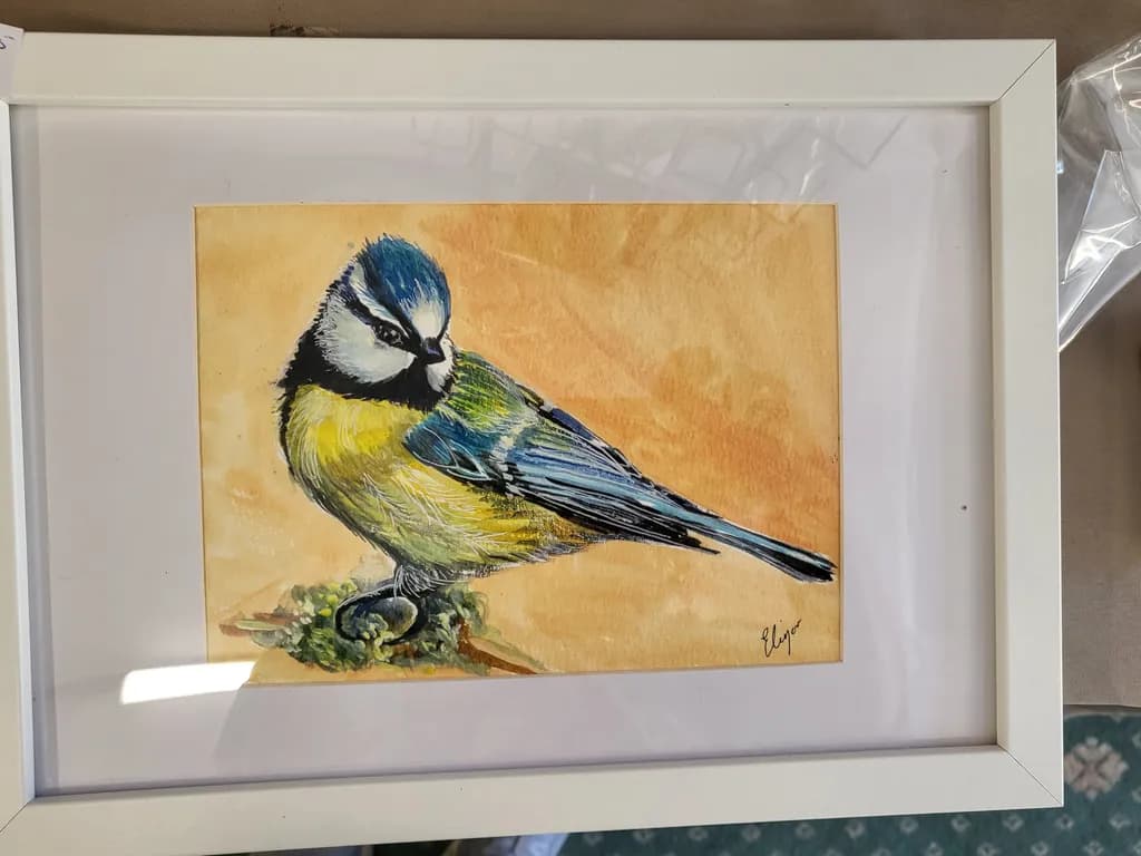 Blue Tit Perch