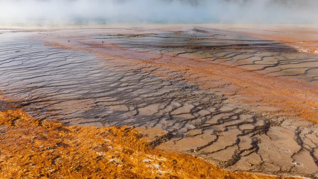 Rusty Hot Springs