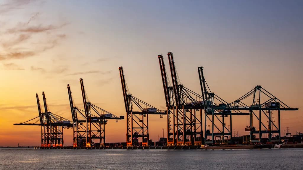 Harbor Cranes Sunset