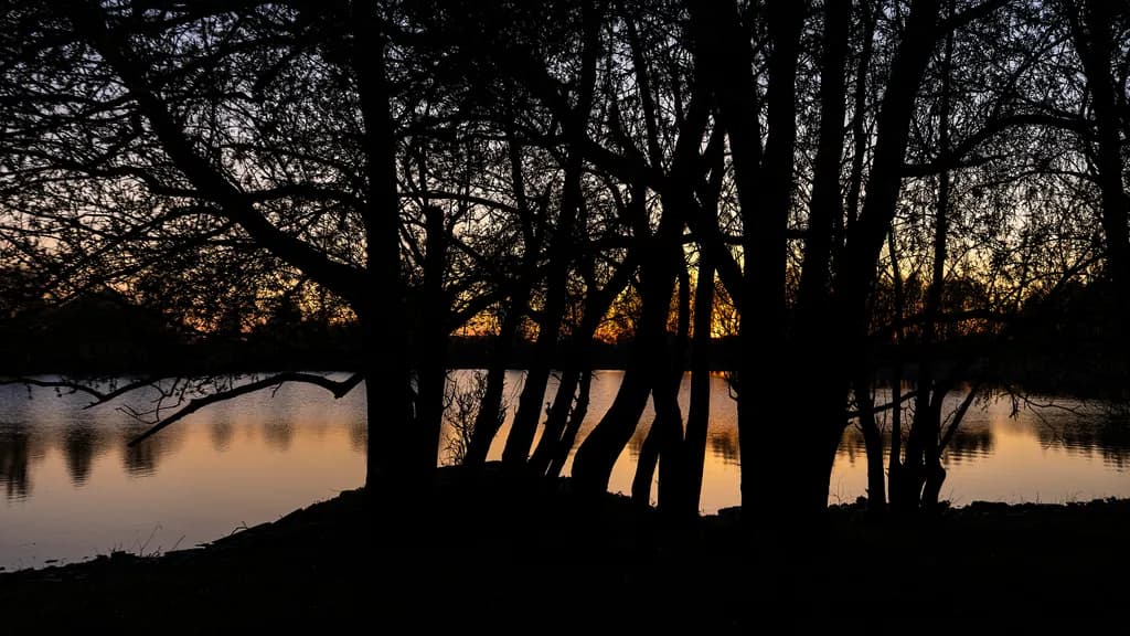 Sundowner