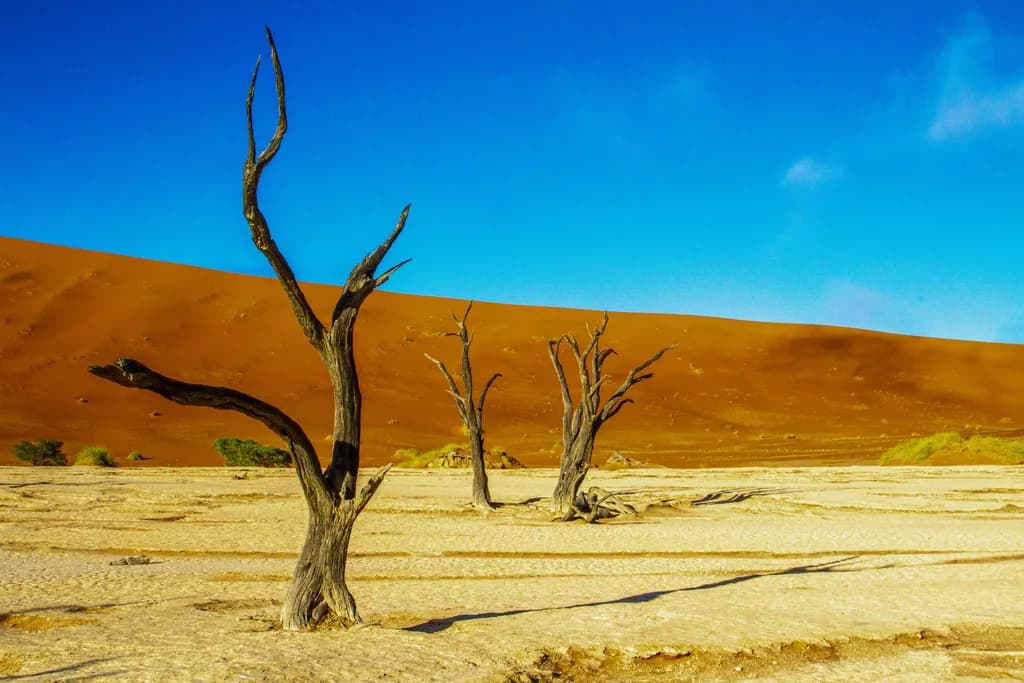 Deadvlei Shadows