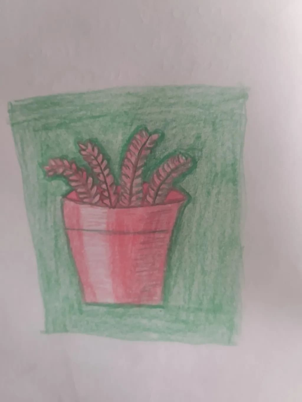 Potted Fronds