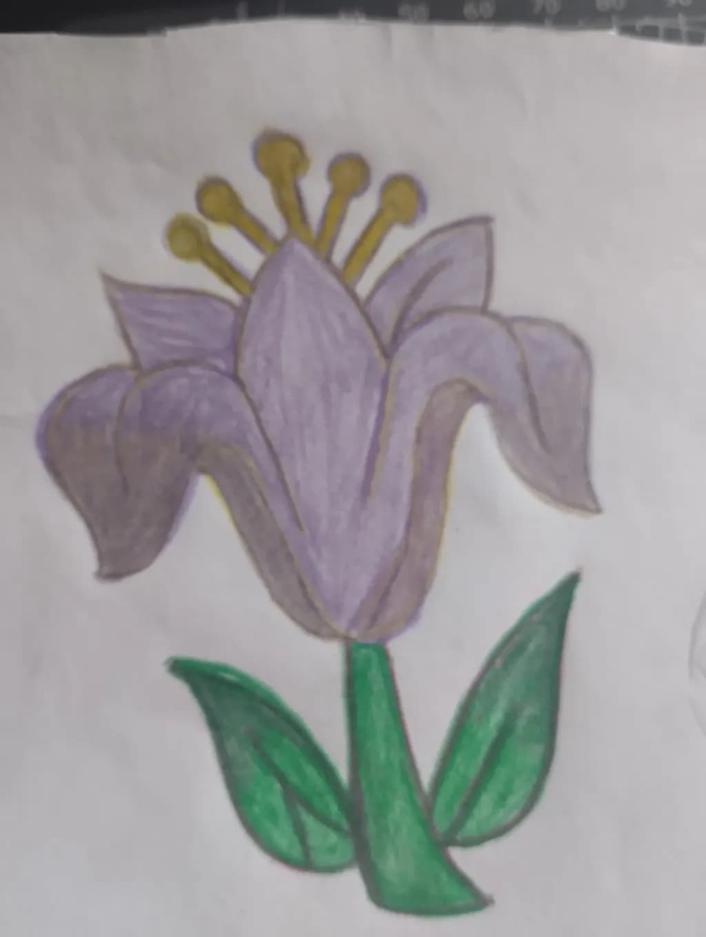 Purple Bloom